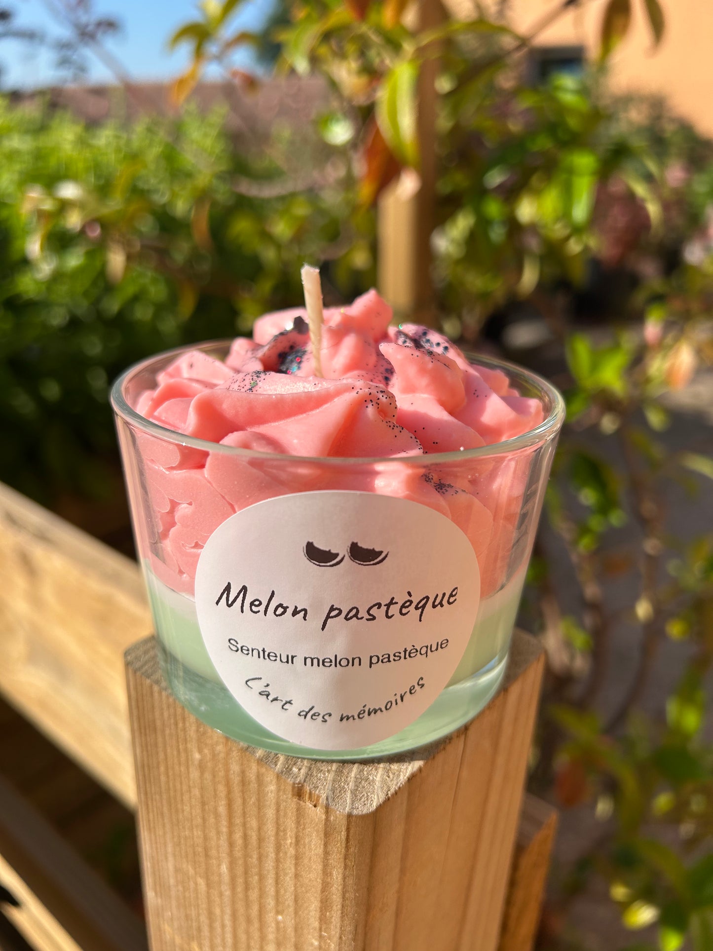 Pastèque melon 250g