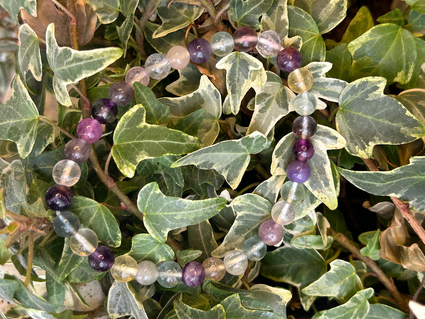 Bracelet fluorite