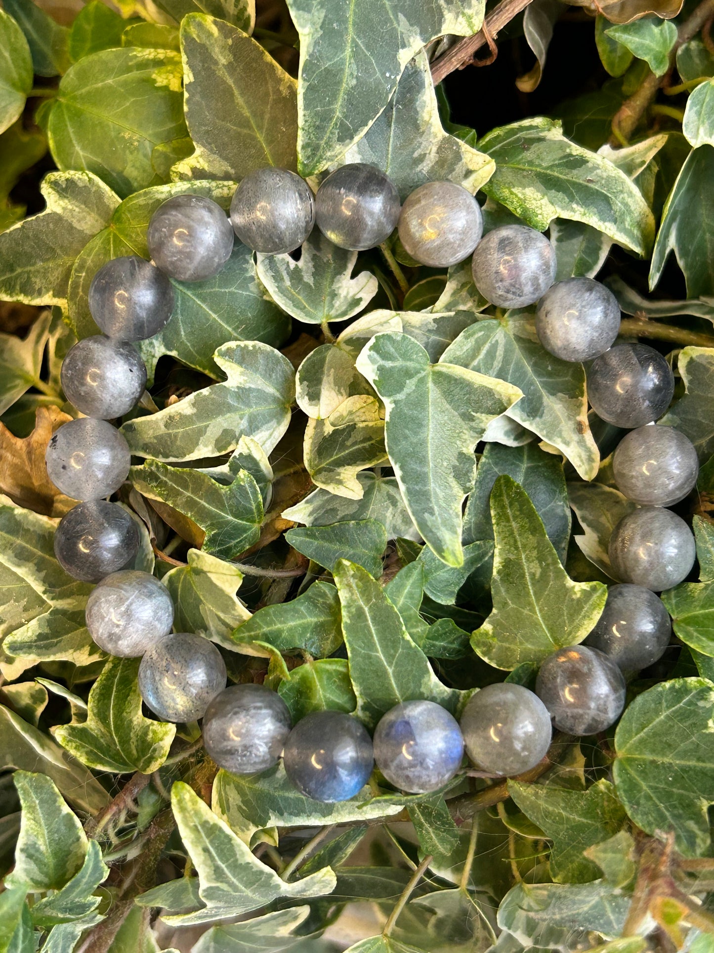 Bracelet Labradorite 8mm