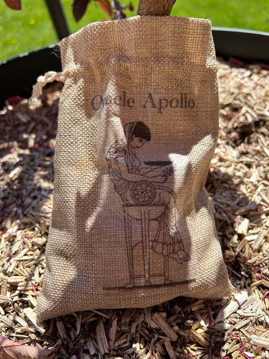 Oracle Apollo