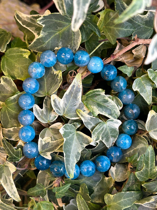 Bracelet Apatite