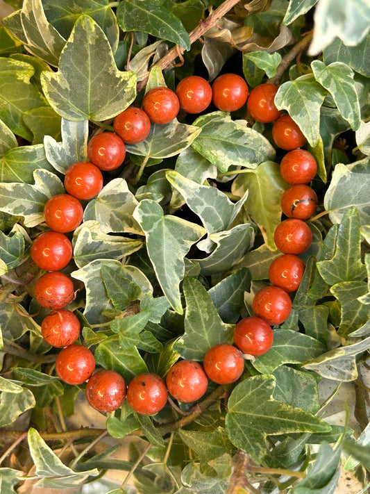 Bracelet Jaspe Rouge